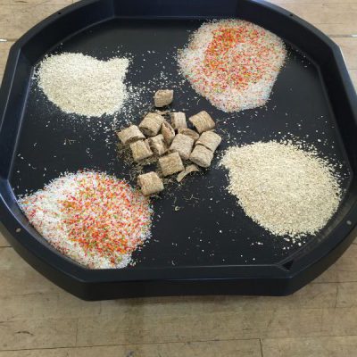 Fine Motor Skills - Rice and Shredded Wheat